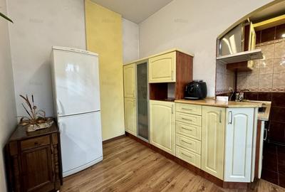 Apartament cu 3 camere semidecomandat, mobilat în Horea - 9