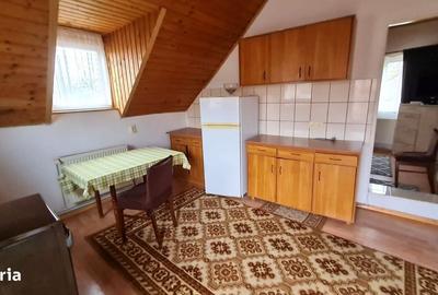 Garsonieră în Terezian - 1