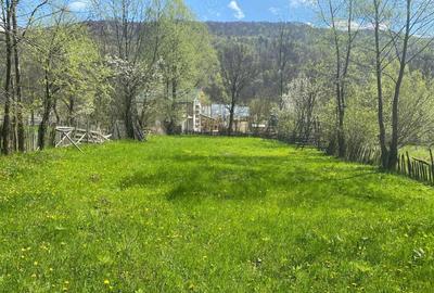 Teren de 1220 mp, în Teșila - 9