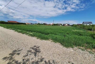 Teren Construcții intravilan de 3177 mp, în Șerbănești - 3