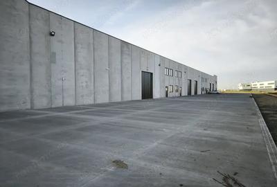 Spațiu comercial, de 523 mp, în Sânandrei - 2