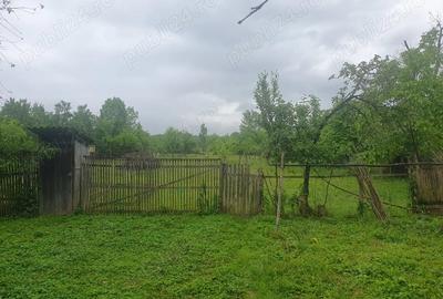 Casă cu 3 camere cu Teren 3000 Mp în Vărzari - 7
