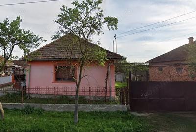 Casă cu 2 camere cu Teren 1427 Mp în Rogoz - 10