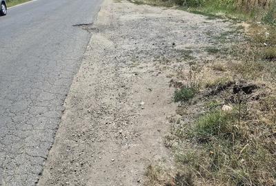 Teren de 3700 mp, în Sadina - 3