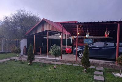 Casă cu 3 camere în Bucov