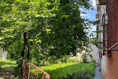 Apartament cu 2 camere semidecomandat în Pieptănari - 2