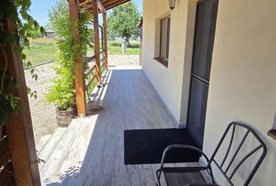 Casă cu 3 camere cu Teren 4400 Mp în Valea Vinului - 18