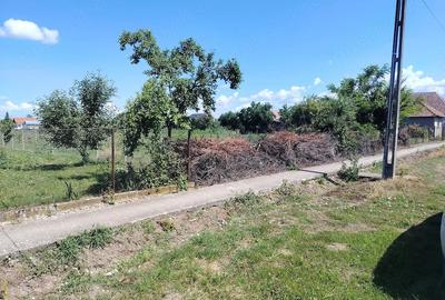 Teren de 1340 mp, în Ianoșda - 3