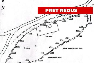 Casă individuală cu 4 camere cu Teren 4891 Mp în Stolna - 11