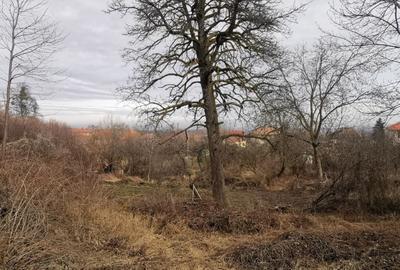 Casă cu 2 camere cu Teren 1547 Mp în Feleacu - 2