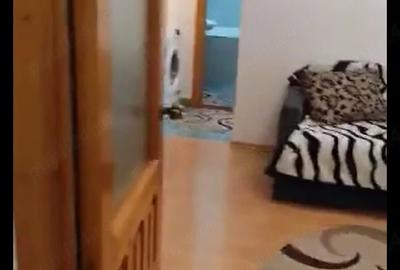 Apartament cu 3 camere semidecomandat în Exterior Vest - 2