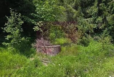Teren în Dobrești