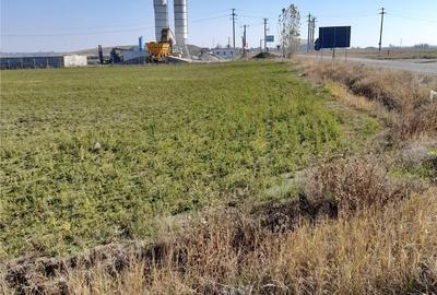 Teren de 15000 mp, în Sud - 6