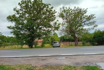 Casă cu 3 camere în Sălcioara - 3