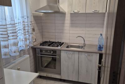 Garsonieră semidecomandată în Valea Rosie - 1