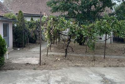 Casă cu 4 camere în Sculia - 4