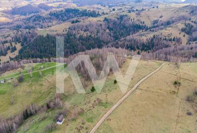 Teren agricol extravilan de 11105 mp, în Fundata - 8