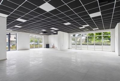 Spațiu comercial, de 220 mp, în Nufărul