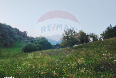 Spațiu comercial, în Bârsana - 4