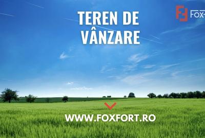 Teren extravilan de 20720 mp, în Teliucu Inferior
