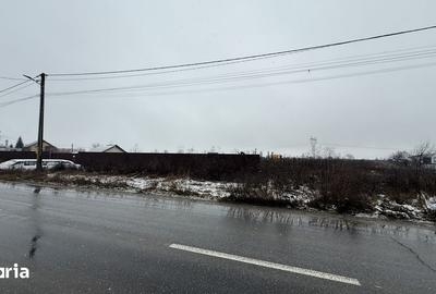 Teren de 22000 mp, în Letea Veche - 1