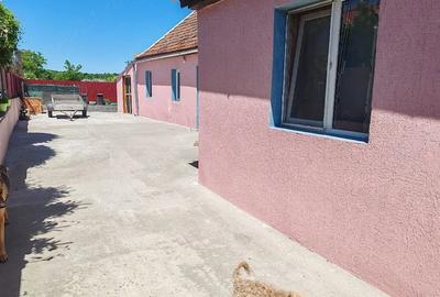 Casă cu 3 camere cu Teren 973 Mp în Pustiniș - 3