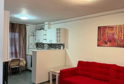 Apartament cu 2 camere în Roșu
