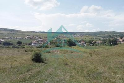 Teren agricol extravilan de 5000 mp, în Exterior Nord - 2
