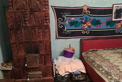 Casă cu 4 camere cu Teren 2500 Mp în Nicolae Bălcescu