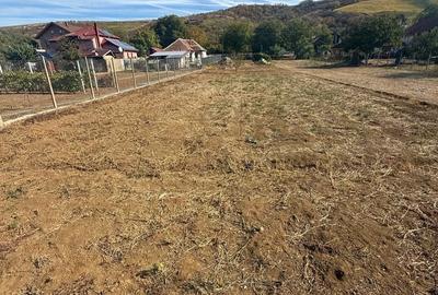 Teren de 1105 mp, în Păuliș