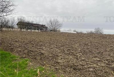 Teren Construcții intravilan de 12223 mp, în Berceni - 1