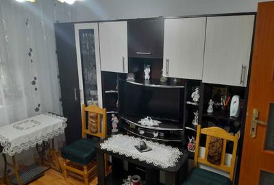 Garsonieră semidecomandată în Paltin - 3
