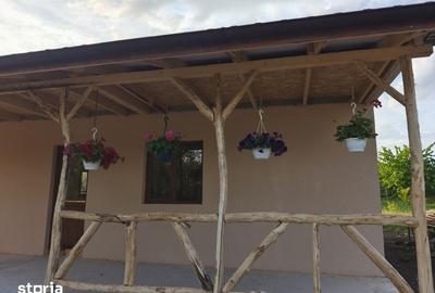 Casă cu 2 camere cu Teren 950 Mp în Borș - 6