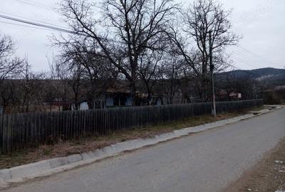 Teren de 4800 mp, în Ivănești - 5