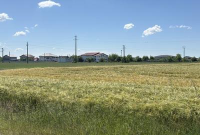Spațiu comercial, în Dârvari - 3