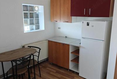 Garsonieră nedecomandată în Terezian - 4