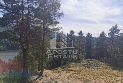 Teren Construcții intravilan de 2000 mp, în Văliug - 3