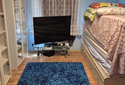 Casă cu 3 camere în Jabenița - 1