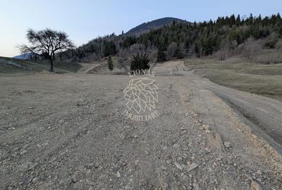 Teren Construcții intravilan de 2950 mp, în Colibița - 13