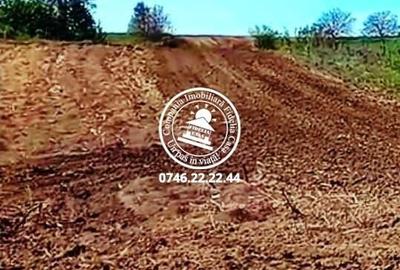 Teren de 7200 mp, în Rediu