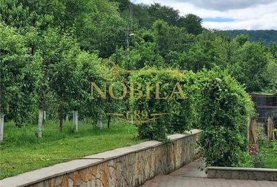 Casă cu 4 camere în Bogata - 18