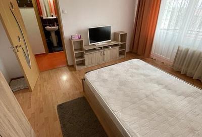 Garsonieră decomandată în Valea Rosie - 2