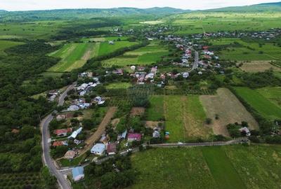 Teren Construcții intravilan de 4229 mp, în Blidari (Cârligele) - 3