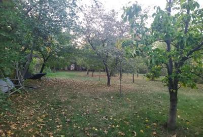 Casă cu 5 camere cu Teren 1566 Mp în Berceni - 2