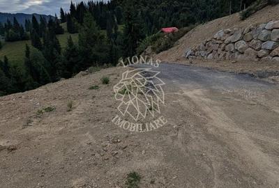 Teren Construcții intravilan de 1002 mp, în Colibița - 2