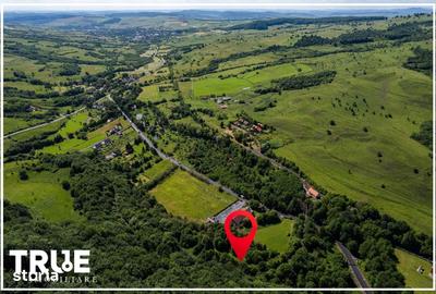 Teren de 2800 mp, în Eremitu - 20