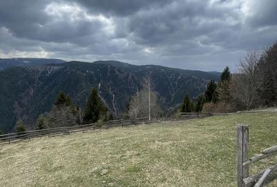 Teren de 3000 mp, în Măguri