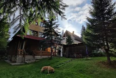 Casă cu 6 camere cu Teren 780 Mp în Beliș - 8