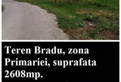 Teren Construcții intravilan de 500 mp, în Bradu - 8