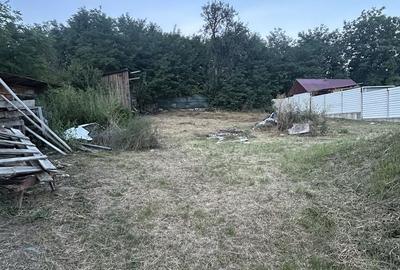 Casă cu 2 camere în Miroslovești